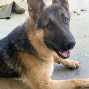 Meet your Posher, Logan